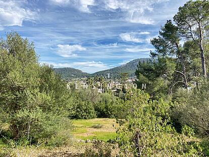 Plot with views, Port Andratx Mallorca